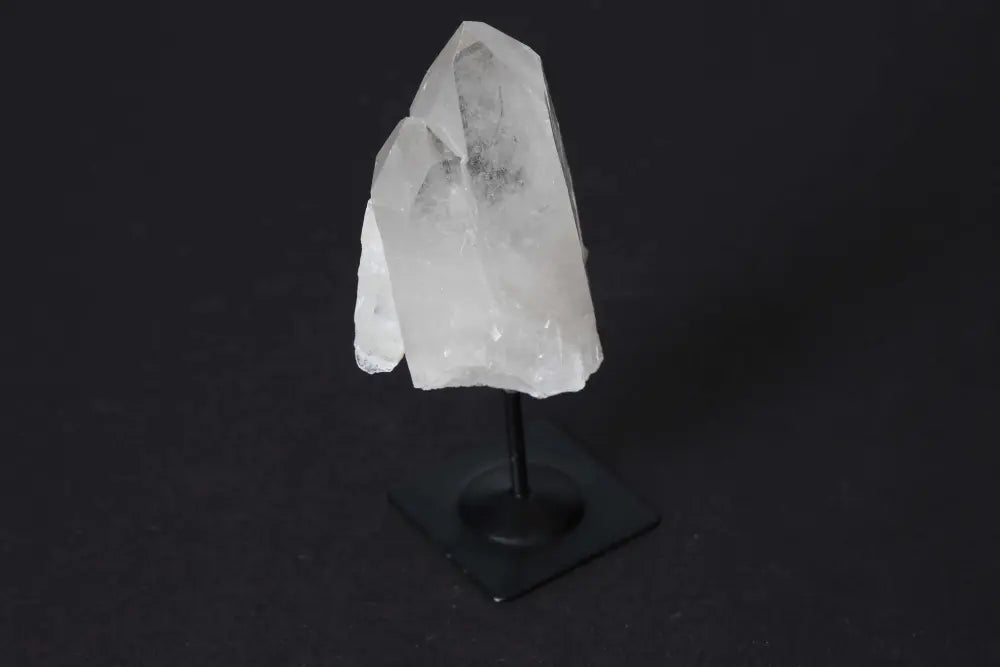 orbitvu|type:image2d