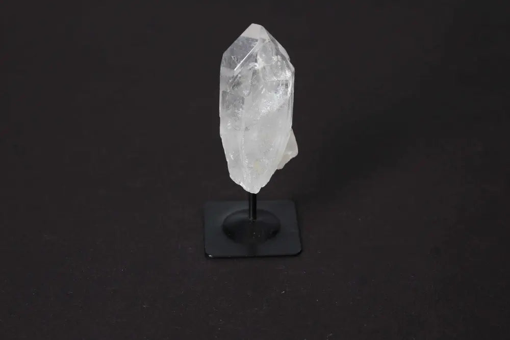 orbitvu|type:image2d