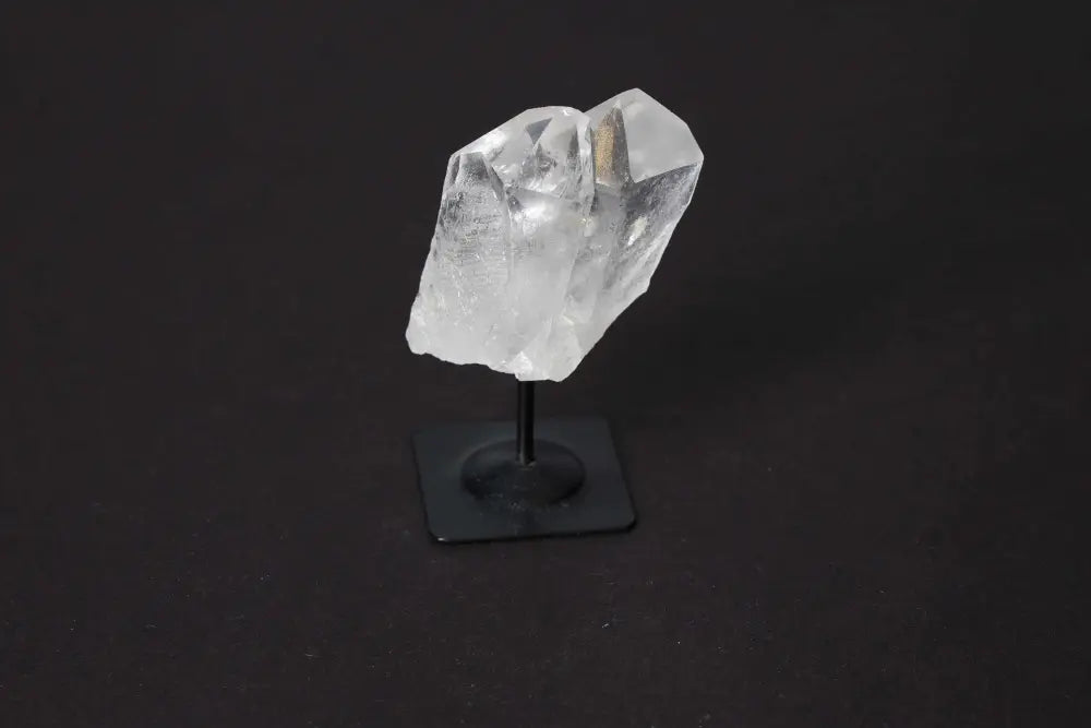 orbitvu|type:image2d