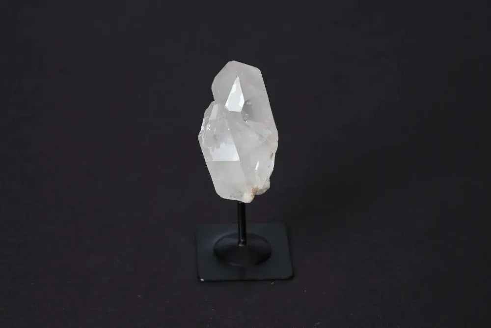 orbitvu|type:image2d