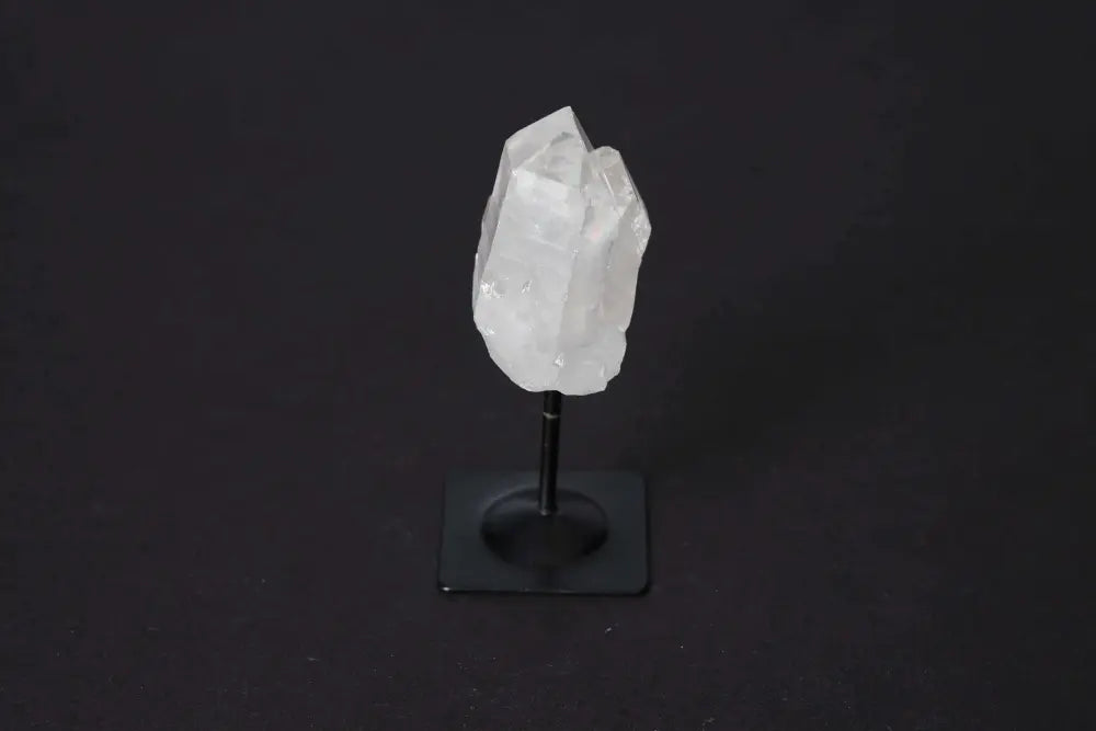 orbitvu|type:image2d