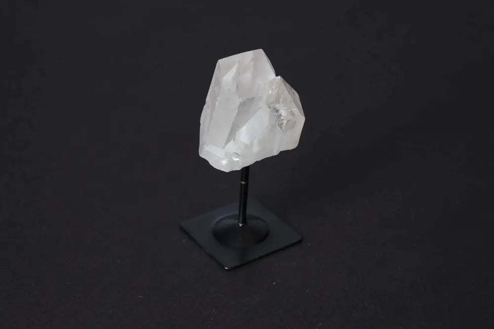 orbitvu|type:image2d