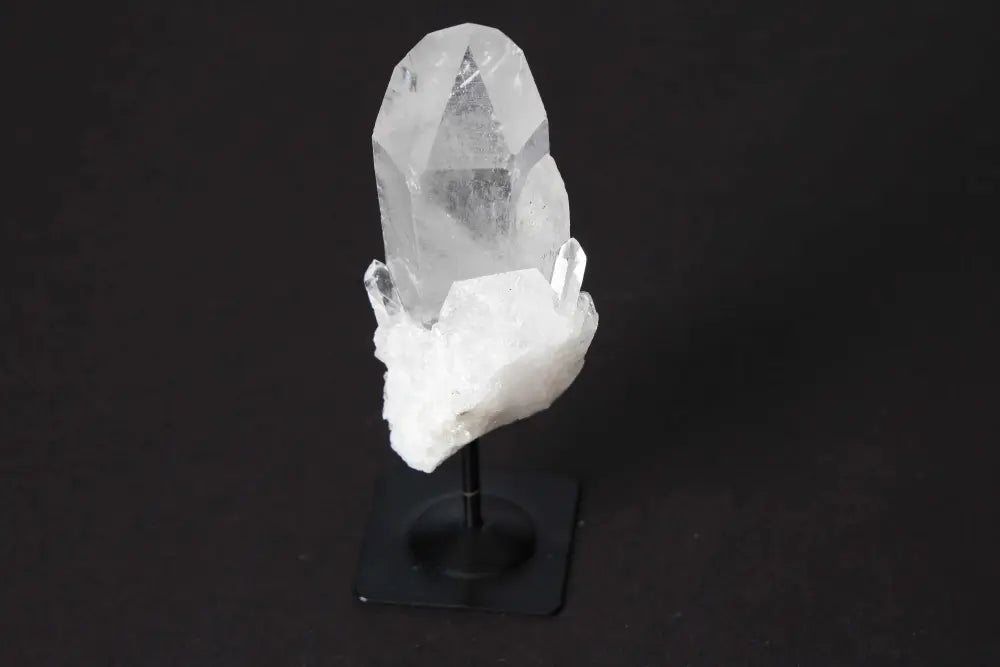 orbitvu|type:image2d