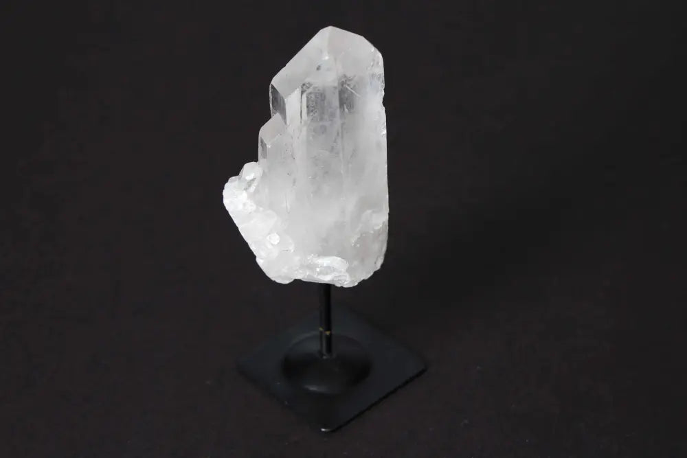 orbitvu|type:image2d