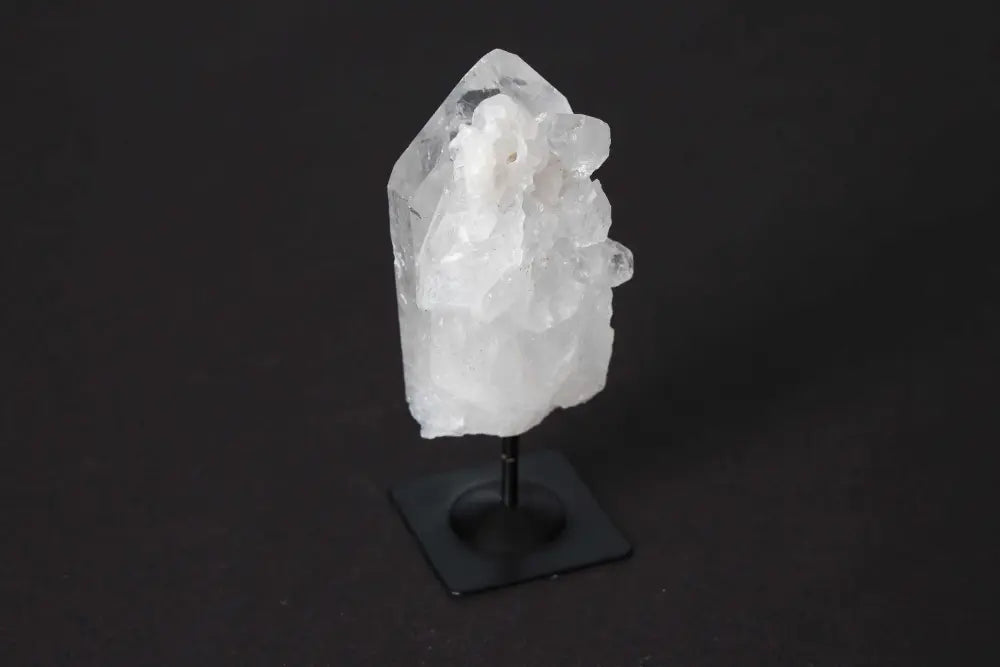 orbitvu|type:image2d