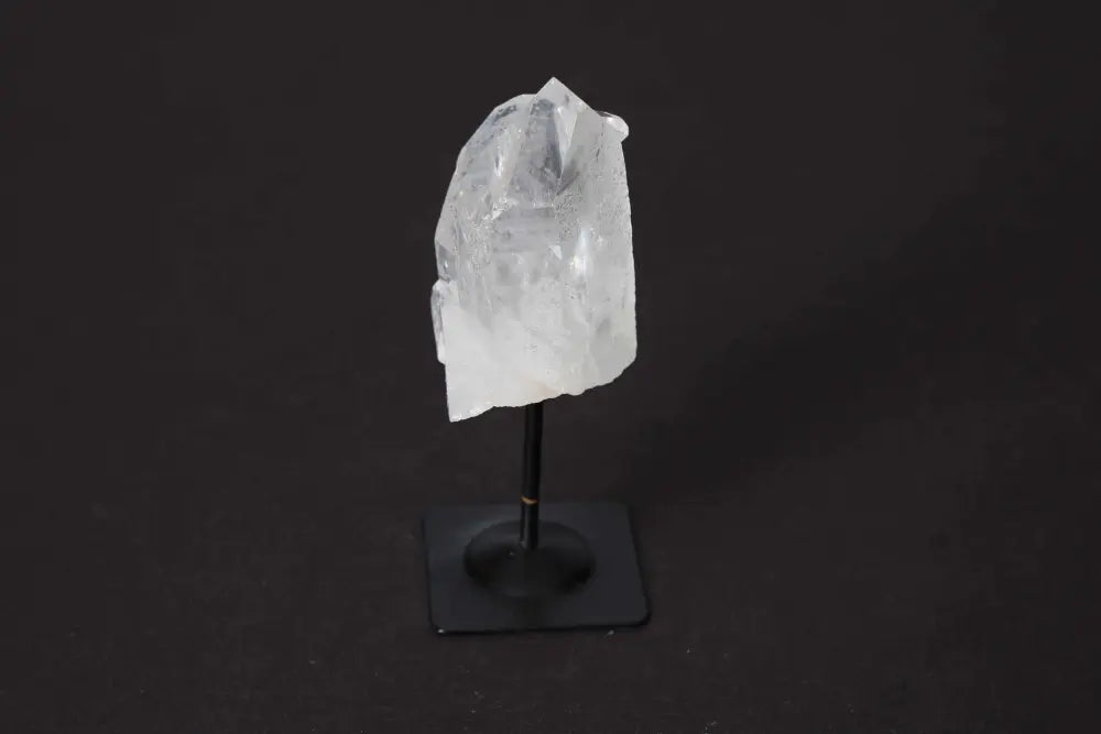 orbitvu|type:image2d