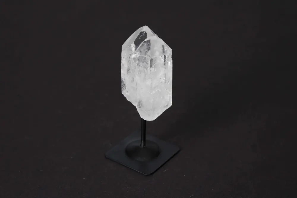 orbitvu|type:image2d