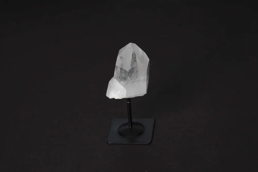 orbitvu|type:image2d