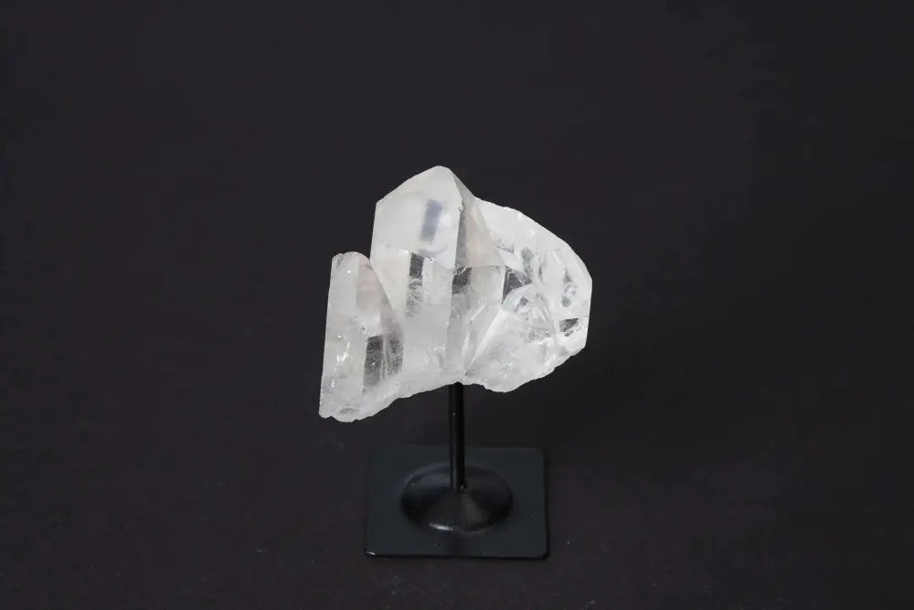 orbitvu|type:image2d