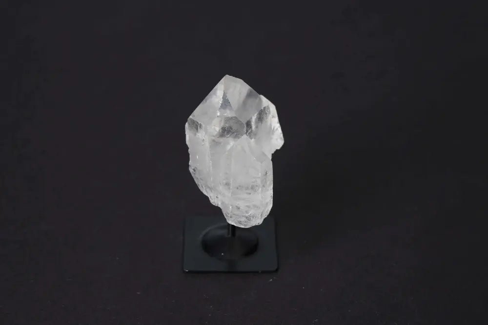 orbitvu|type:image2d