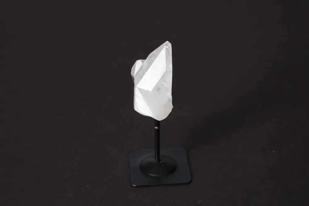 orbitvu|type:image2d