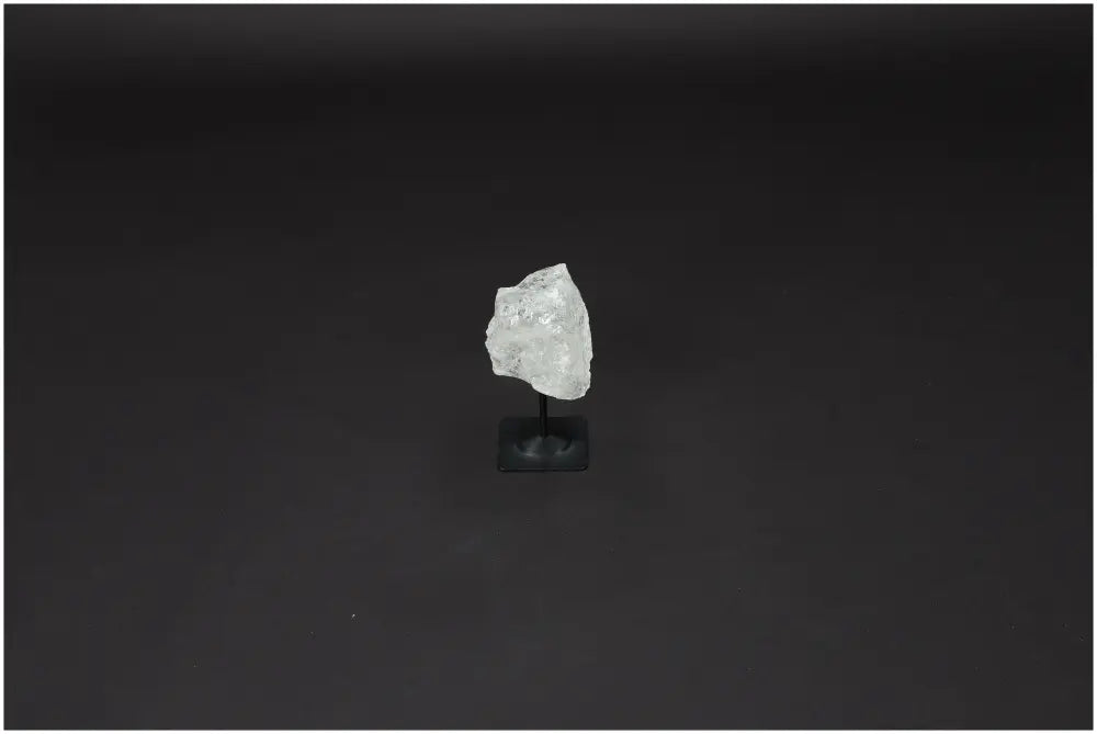 orbitvu|type:image2d