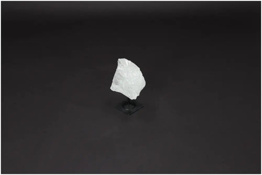 orbitvu|type:image2d