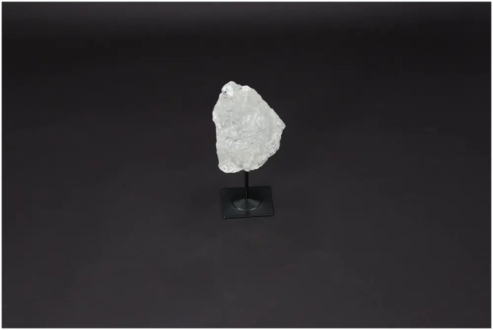 orbitvu|type:image2d