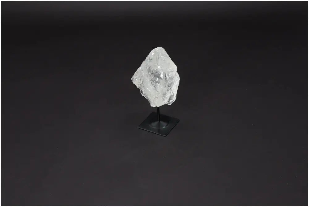 orbitvu|type:image2d