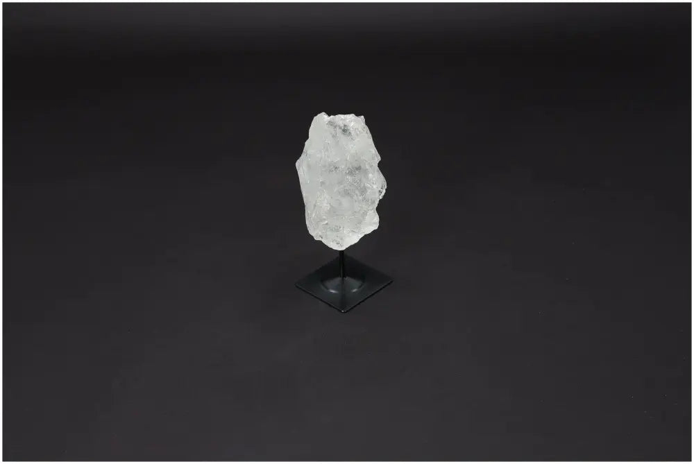 orbitvu|type:image2d