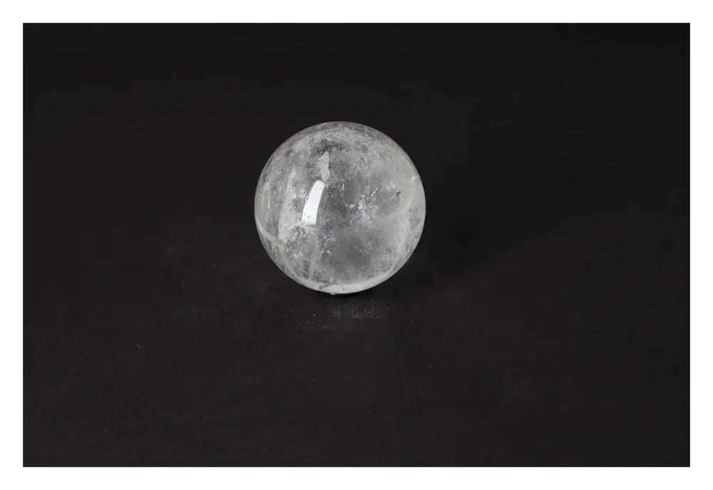 orbitvu|type:image2d