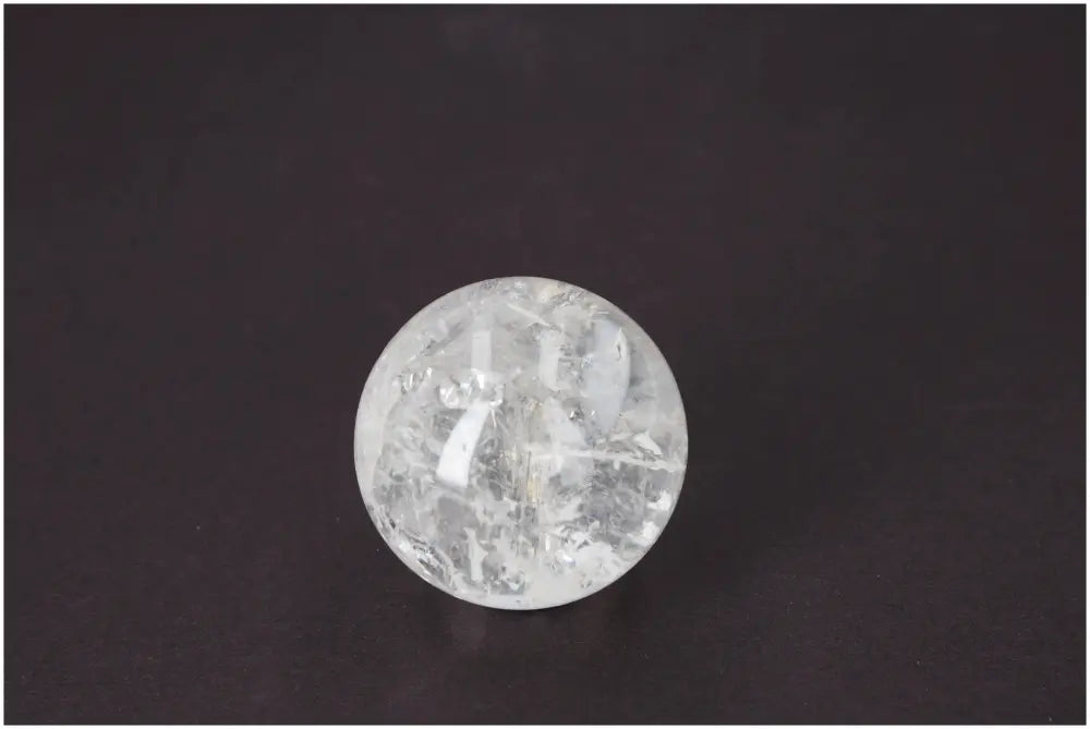 orbitvu|type:image2d