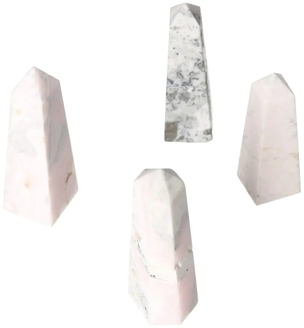 orbitvu|type:image2d