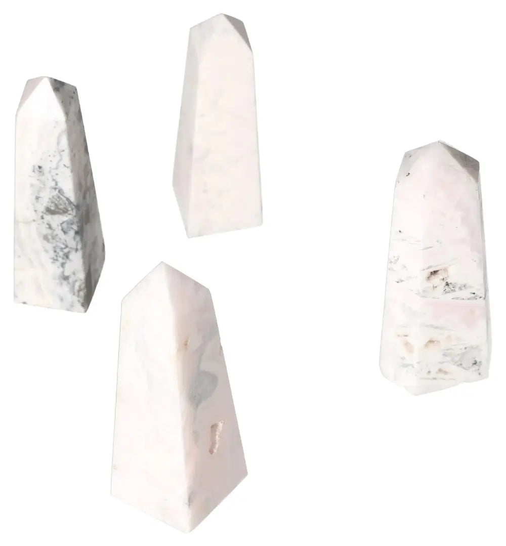 orbitvu|type:image2d