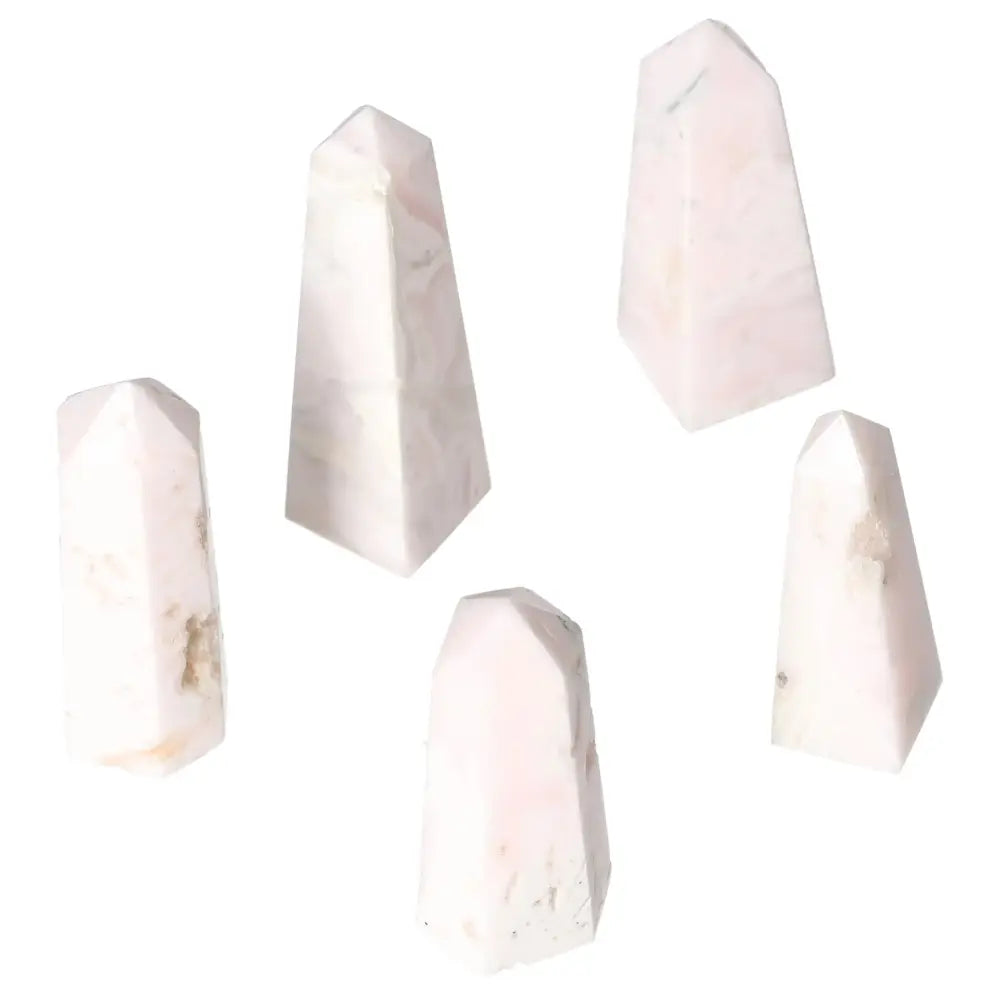 orbitvu|type:image2d