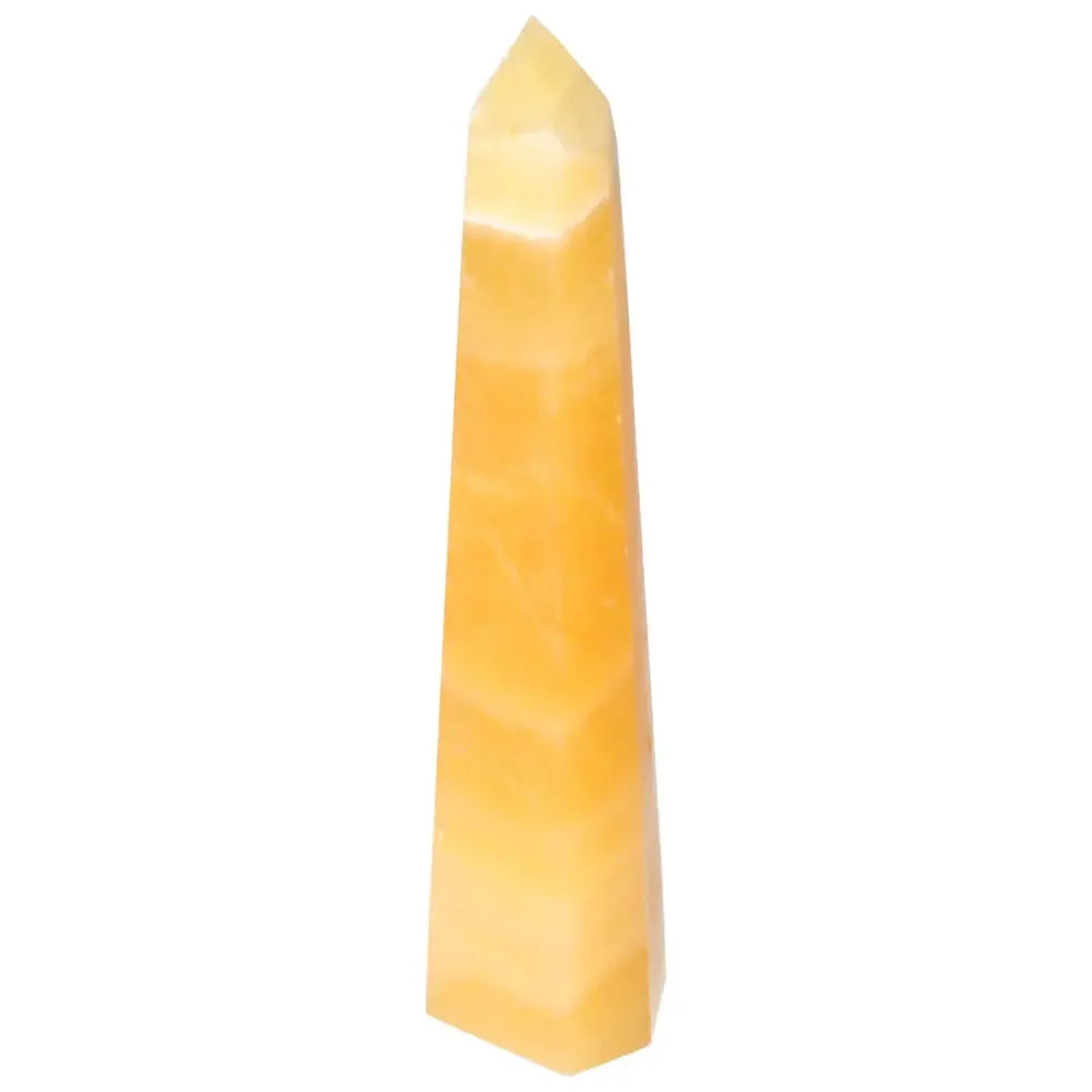 orbitvu|type:image2d