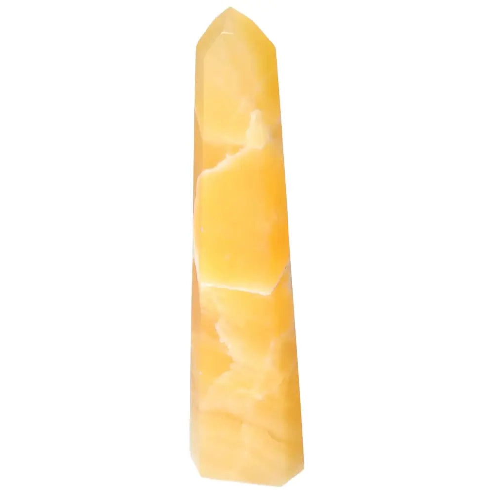 orbitvu|type:image2d