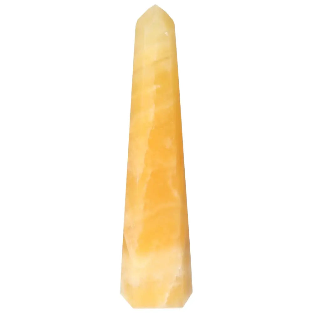 orbitvu|type:image2d