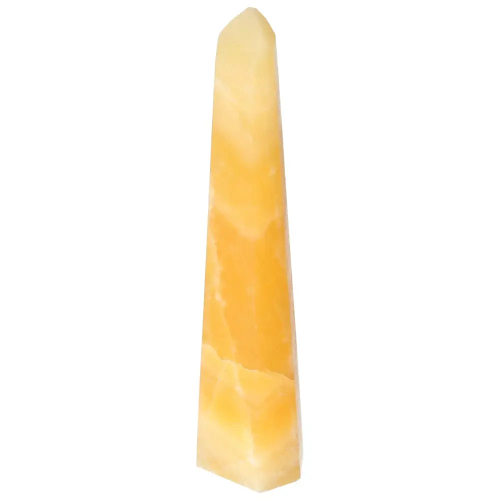 orbitvu|type:image2d