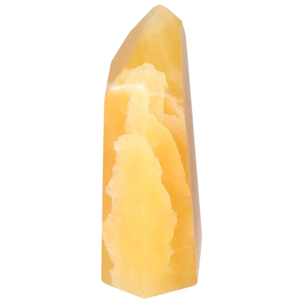 orbitvu|type:image2d