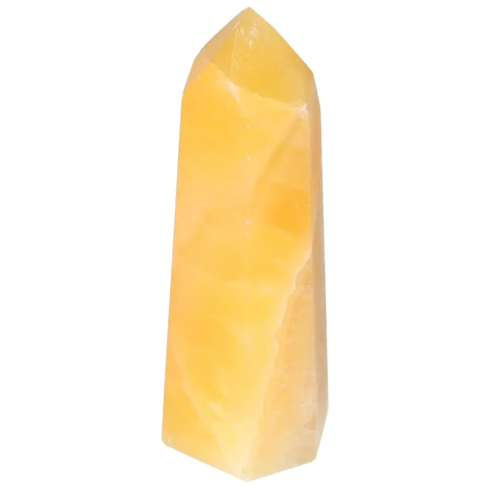 orbitvu|type:image2d