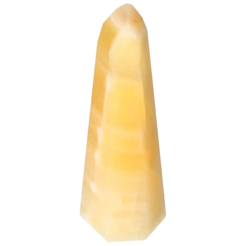 orbitvu|type:image2d