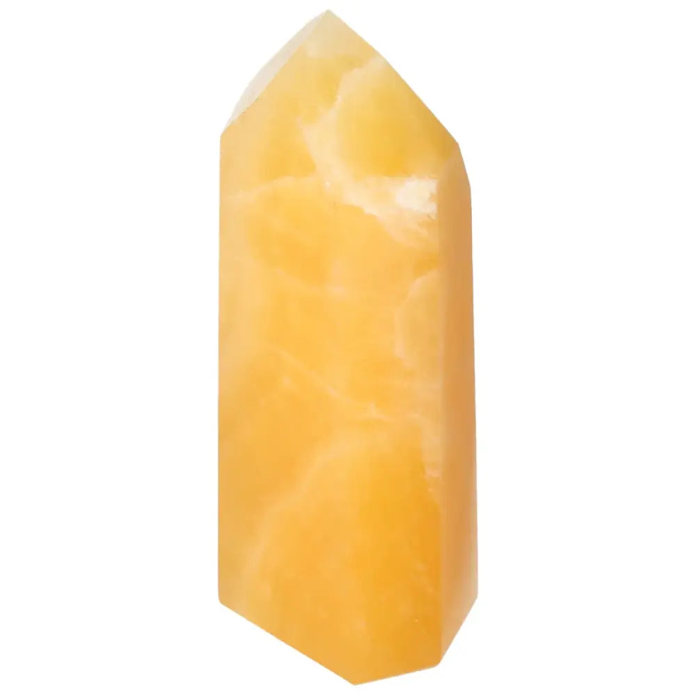 orbitvu|type:image2d