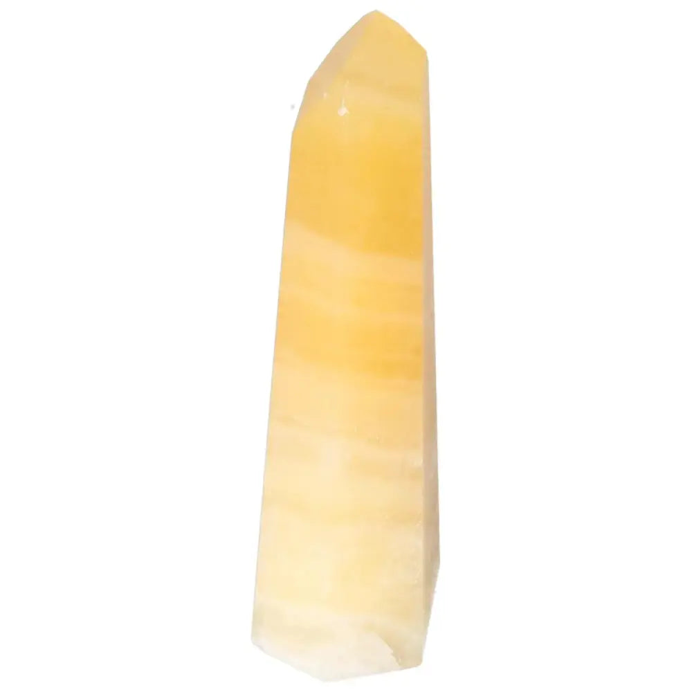 orbitvu|type:image2d