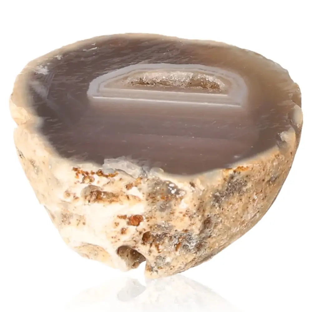 orbitvu|type:image2d