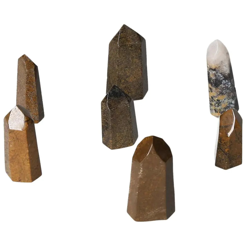 orbitvu|type:image2d