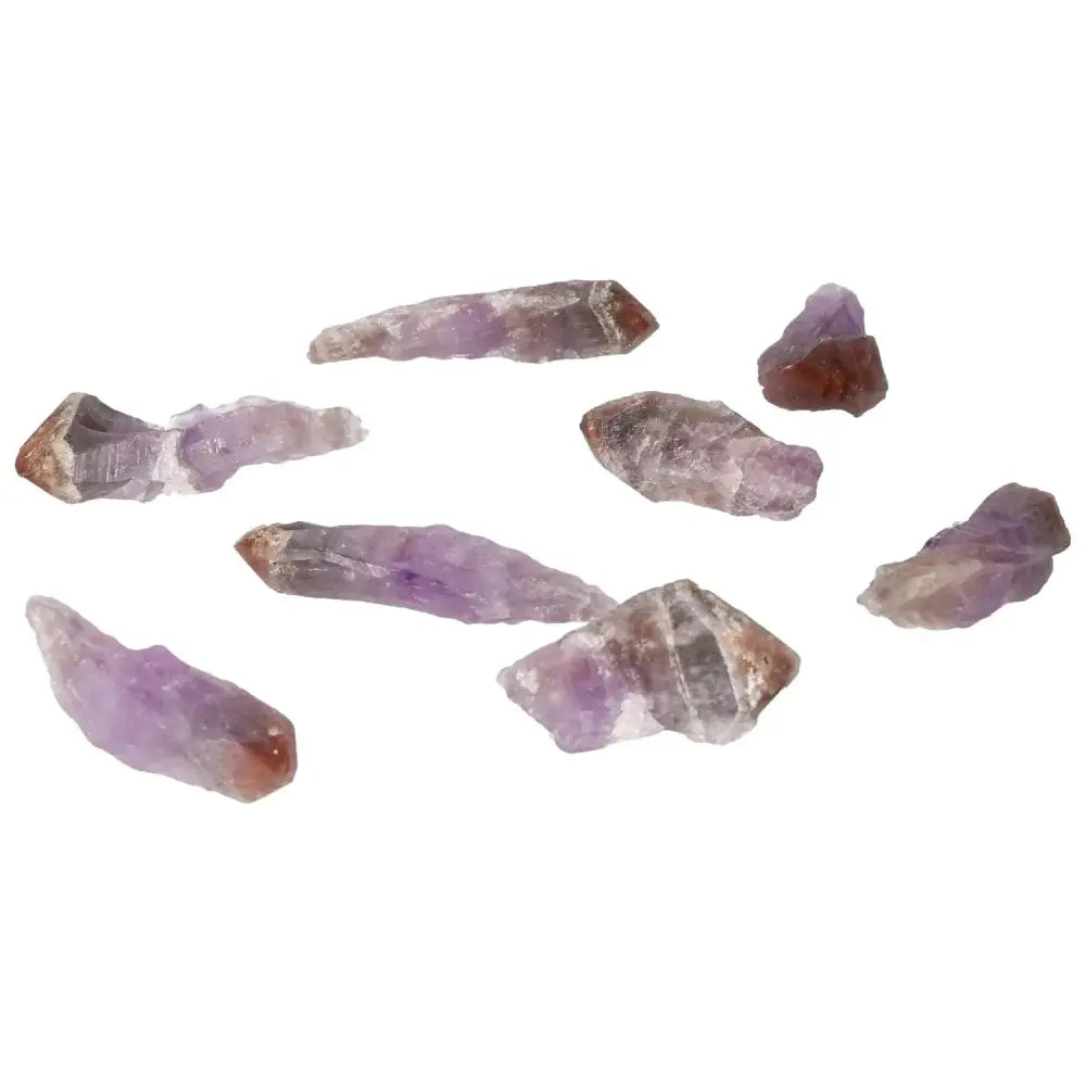 orbitvu|type:image2d