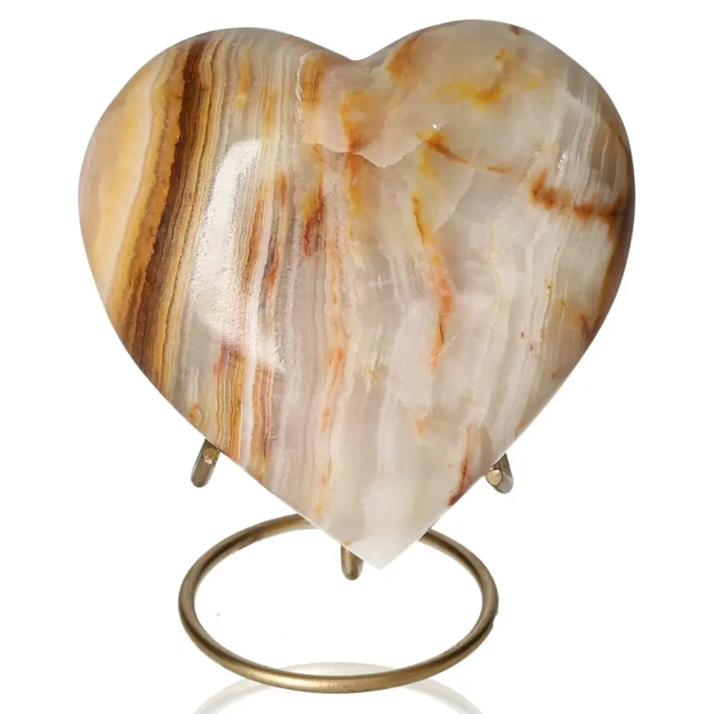 orbitvu|type:image2d