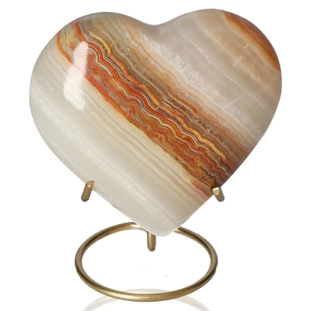 orbitvu|type:image2d