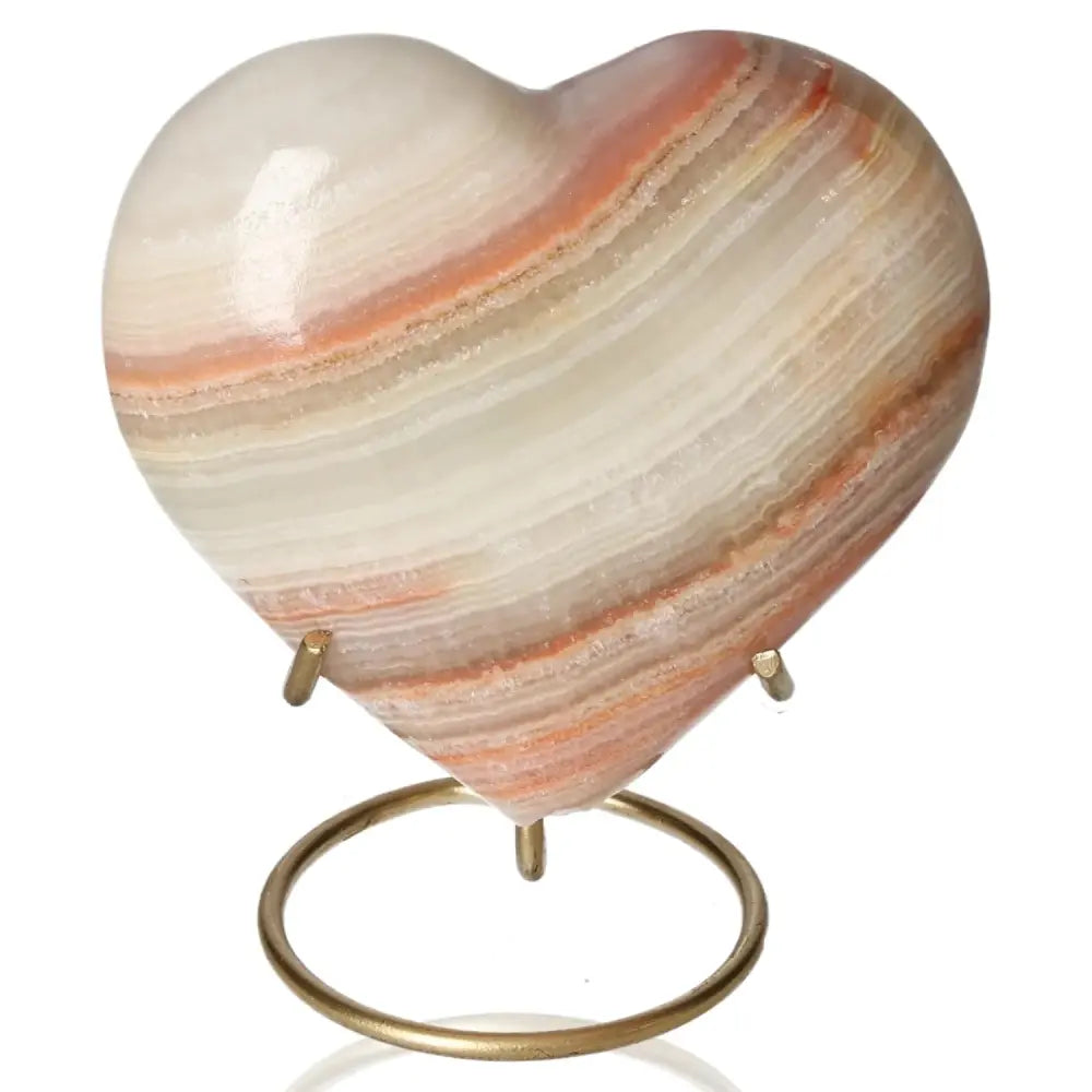 orbitvu|type:image2d