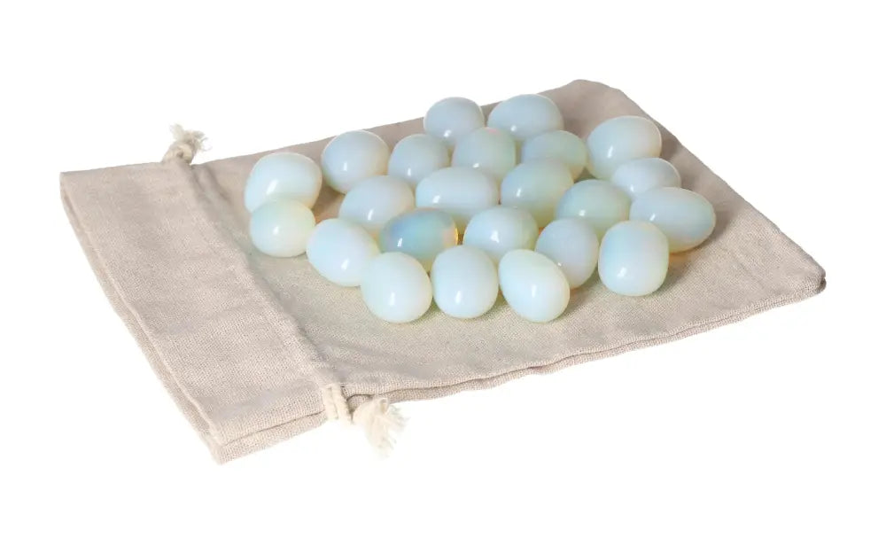 orbitvu|type:image2d