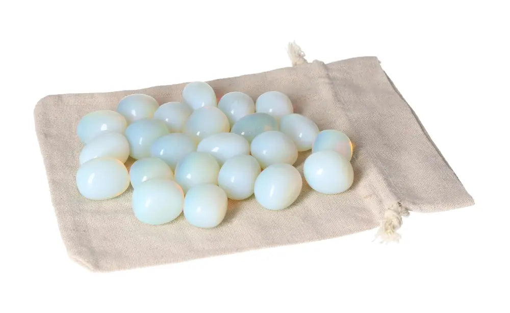 orbitvu|type:image2d