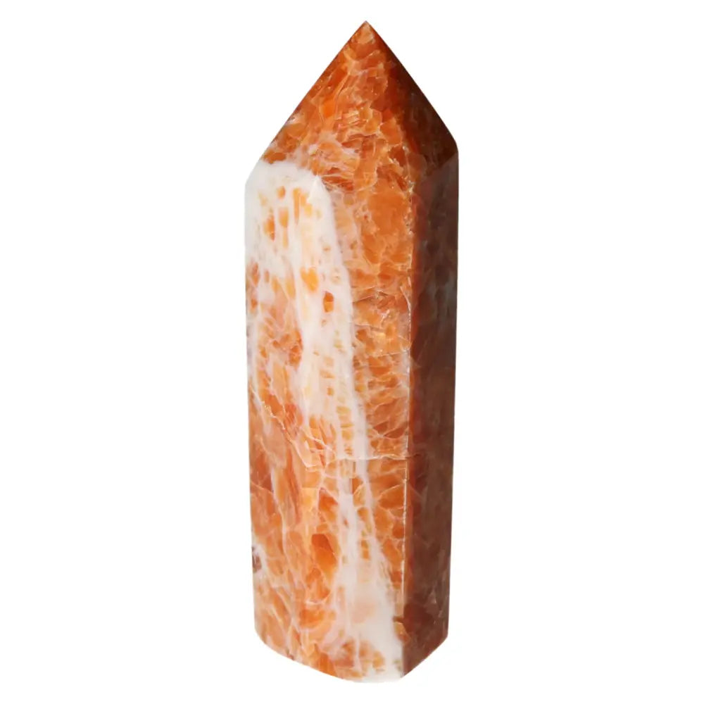 orbitvu|type:ORBITVU 360|https://orbitvu.co/share/rhMtNRHUjQy2Jvezsb3y64/6506346/360/iframe