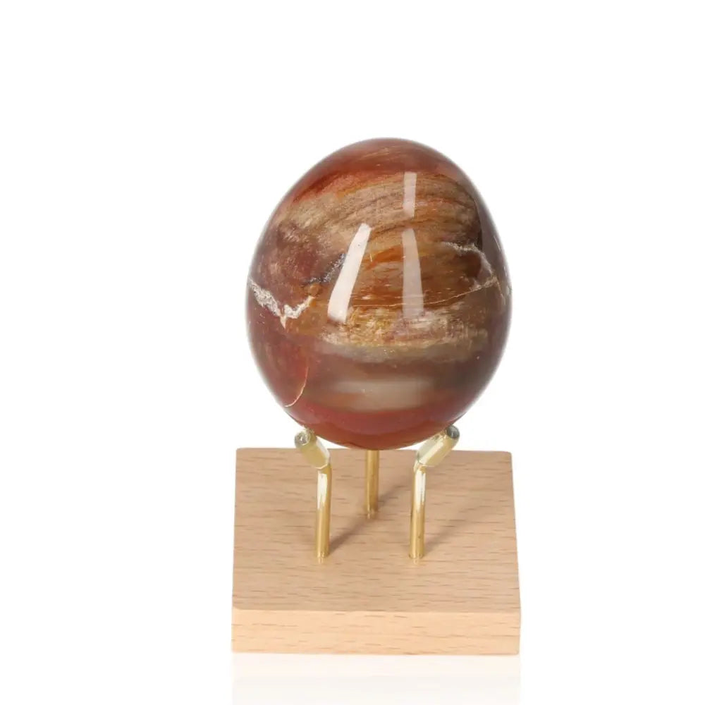 Petrified Wood Egg on stand, showcasing earthy colors and wood-like patterns, symbolizing grounding and ancient wisdom for personal growth.