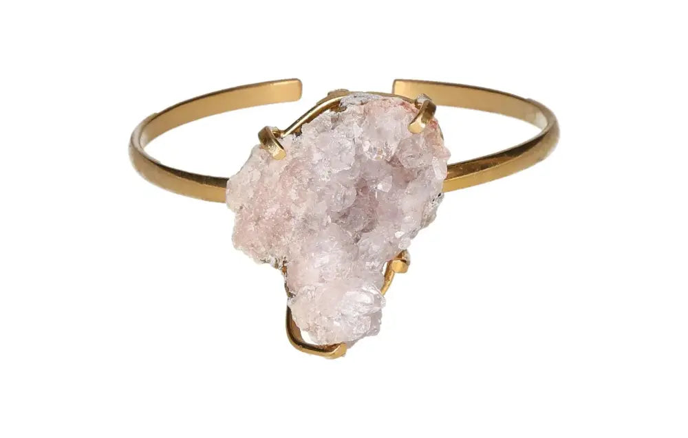 orbitvu|type:image2d