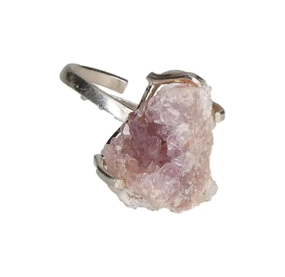 orbitvu|type:image2d