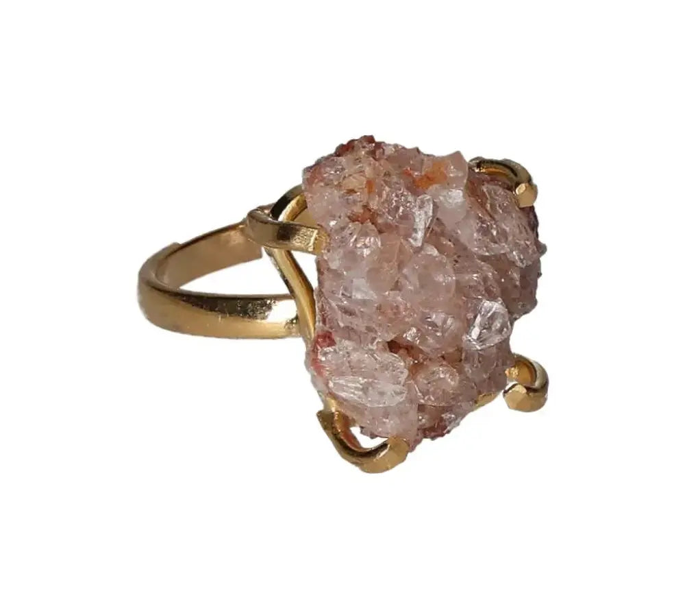 orbitvu|type:image2d