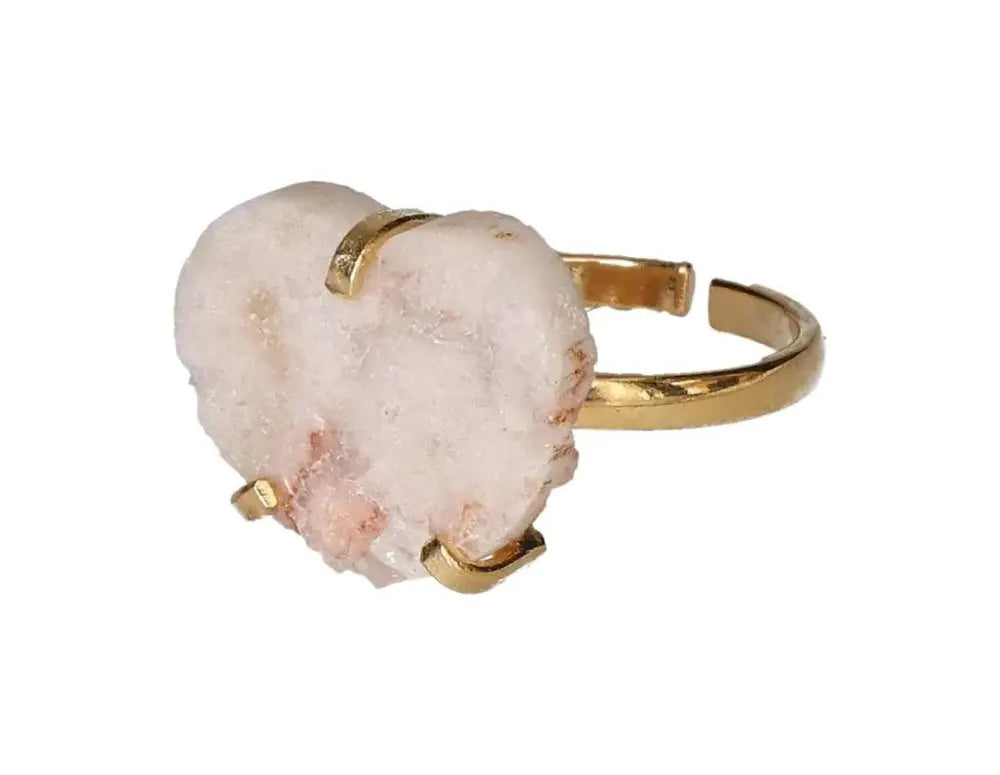 orbitvu|type:image2d