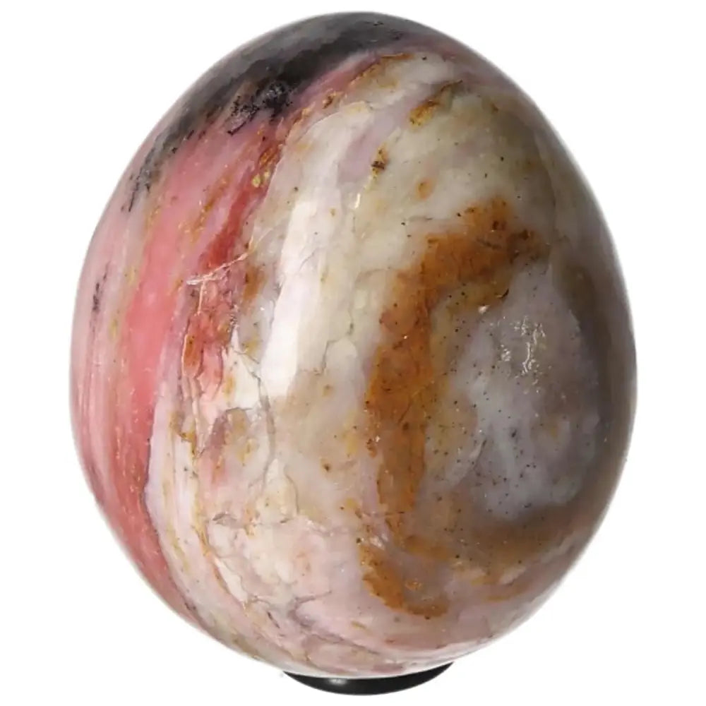 orbitvu|type:image2d