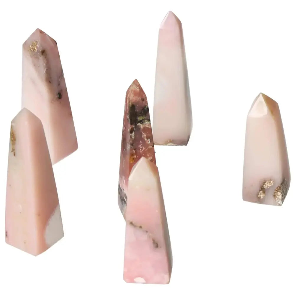 orbitvu|type:image2d